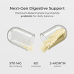 Фото применение Neurogan Health, Аккермансия, Akkermansia Probiotic, 60 капсул