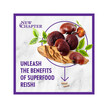 Фото використання NewChapter, Superfood Mushroom Reishi, Гриби Рейші, 60 капсул