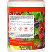 Фото применение Organic Red Supremefood Berry Flavor Фото применение Divine Health, Суперфуд, Organic Red Supremefood Berry Flavor, 18