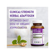 Фото применение NewChapter, Ашваганда, Ashwagandha Force, 60 капсул