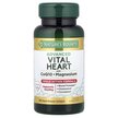 Фото применение Коэнзим CoQ10, Advanced Vital Heart with CoQ10 + Magnesium, 60 ка