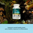 Фото використання Regenerative Organic Certified Turmeric, Екстракт кореня куркуми,