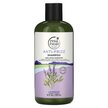 Фото применение Petal Fresh, Шампунь, Pure Anti-Frizz Shampoo Lavender, 475 мл