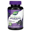 Фото применение Черная Бузина, Sambucus Gummies Standardized Elderberry, 60 конфе