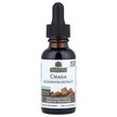 Фото використання Chaga Mushroom Extract Alcohol Free, Гриби Чага, 30 мл