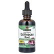 Фото применение Nature's Answer, Эхинацея, Echinacea Alcohol-Free 1000 mg, 6