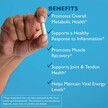 Фото применение AST Enzymes, Клеточное здоровье, Excellacor, 90 капсул