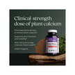 Фото применение Bone Strength Take Care Slim Tabs Фото применение Укрепление костей, Bone Strength Take Care Slim Tabs, 90 таблеток