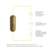 Фото применение Berberine Phytomax Фото применение Integrative Therapeutics, Берберин, Berberine Phytomax, 60 капсул