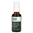 Фото применение Echinacea Goldenseal Propolis Throat Spray Фото применение Gaia Herbs, Эхинацея и Желтокорень Срей, Echinacea Goldenseal, 30