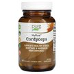Фото применение Pure Essence, Грибы Кордицепс, MyPure Cordyceps, 60 капсул