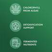 Фото применение Хлорелла, Fermented Chlorella Powder with Chlorophyll, 112 г