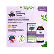 Фото використання Elderberry Syrup with Raspberry Flavor Фото використання Elderberry Syrup with Raspberry Flavor, Сироп з Бузини, 1 шт