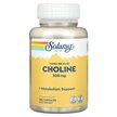 Фото використання Solaray, Timed Release Choline 300 mg, Вітамін B4 Холін, 100 капс