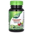 Фото применение Hawthorn Berries 1530 mg 100 Vegan, Ягоды боярышника 1530 мг, 100