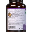 Фото використання Standardized Turmeric Root Extract, Екстракт кореня куркуми, 120 