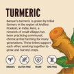Фото применение Turmeric Powder Organic Фото применение Экстракт корня куркумы, Turmeric Powder Organic, 1 Lb