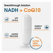 Фото використання Corllia, NADH with CoQ10 D-Ribose GSE, НАДН, 60 капсул