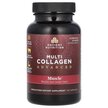 Фото применение Multi Collagen Advanced Muscle Фото применение Ancient Nutrition, Коллаген, Multi Collagen Advanced Muscle, 90 к
