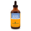 Фото використання Herb Pharm, Black Walnut, Чорний Горіх, 120 мл