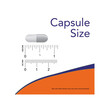 Фото використання NOW, Double Strength L-Theanine, L-Теанін, 90 капсул