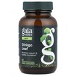 Фото применение Gaia Herbs, Гинкго Билоба, Ginkgo Leaf, 60 капсул