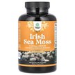 Фото применение Ирландский морской мох, Irish Sea Moss 2100 mg, 180 капсул