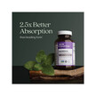 Фото применение NewChapter, Ашваганда, Magnesium + Ashwagandha, 60 таблеток