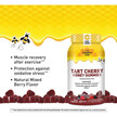 Фото применение Tart Cherry Honey Gummy Natural Mixed Berry, Экстракт вишни, 60 т