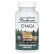 Фото применение Host Defense Mushrooms, Грибы Чага, Chaga, 60 капсул