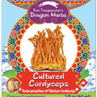 Фото використання Dragon Herbs, Cultured Cordyceps Drops, Гриби Кордицепс, 60 мл