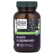 Фото применение Gaia Herbs, Бузина, Black Elderberry, 60 капсул