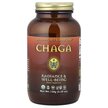 Фото використання HealthForce Superfoods, Integrity Extracts Chaga, Суперфуд, 150 г