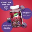 Фото використання Brain Fuel Grape Фото використання Nature's Way, Brain Fuel Grape, Підтримка мозку, 60 таблеток