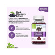 Фото применение Elderberry Gummies with Vitamin C & Zinc Natural Raspberry Flavor Фото применение Elderberry Gummies with Vitamin C & Zinc Natural, Черная Бузи