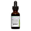 Фото применение Organic Echinacea Goldenseal Extract Alcohol-Removed Orange, Эхин