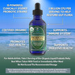 Фото применение Tropical Oasis, Пробиотики, Maximum Strength Organic Probiotic, 1