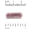 Фото применение Клюква, Cranberry Phytosome Anthocran 120 mg, 60 капсул