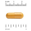 Фото використання Acetyl L-Carnitine Alpha Lipoic Acid and CoQ10 Фото використання Acetyl L-Carnitine Alpha Lipoic Acid and CoQ10, Антиоксиданти, 12