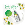 Фото використання Super Concentrated Dandelion Root Liquid Extract Alcohol, Кульбаб