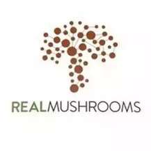 Про бренд Real Mushrooms, де купити в Україні? Про бренд Real Mushrooms, де купити в Україні?