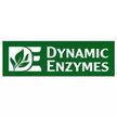 Dynamic Enzymes