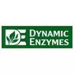Dynamic Enzymes