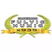 Superior Fulvic Humic X935