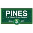 Pines International
