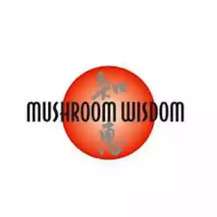 Про бренд Mushroom Wisdom, де купити в Україні? Про бренд Mushroom Wisdom, де купити в Україні?