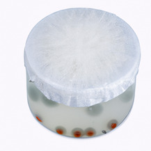 Сахаромицеты Буларди (Saccharomyces Boulardii)