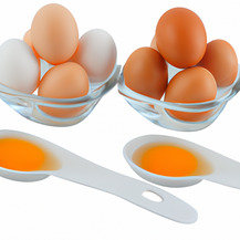 Яичный Лецитин