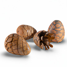 Лиственница