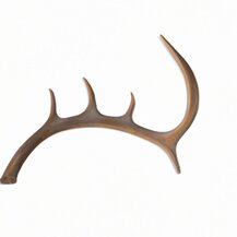 Панты оленя